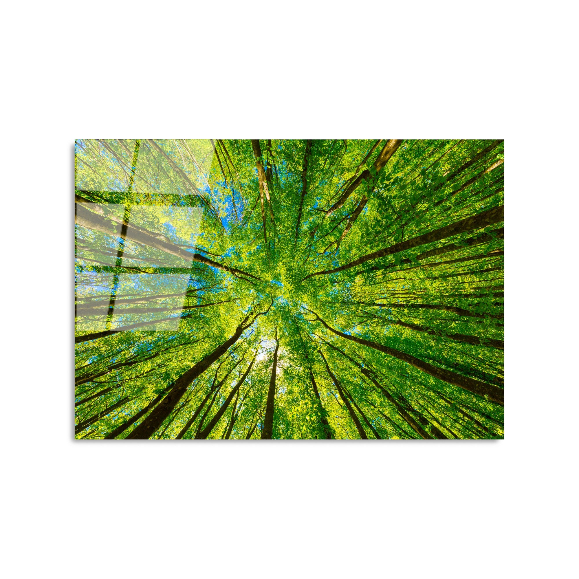 Quadro Decorativo em Vidro Temperado Multicolor UV-319, 50 x 70 cm (4 mm) — Brilho e Durabilidade