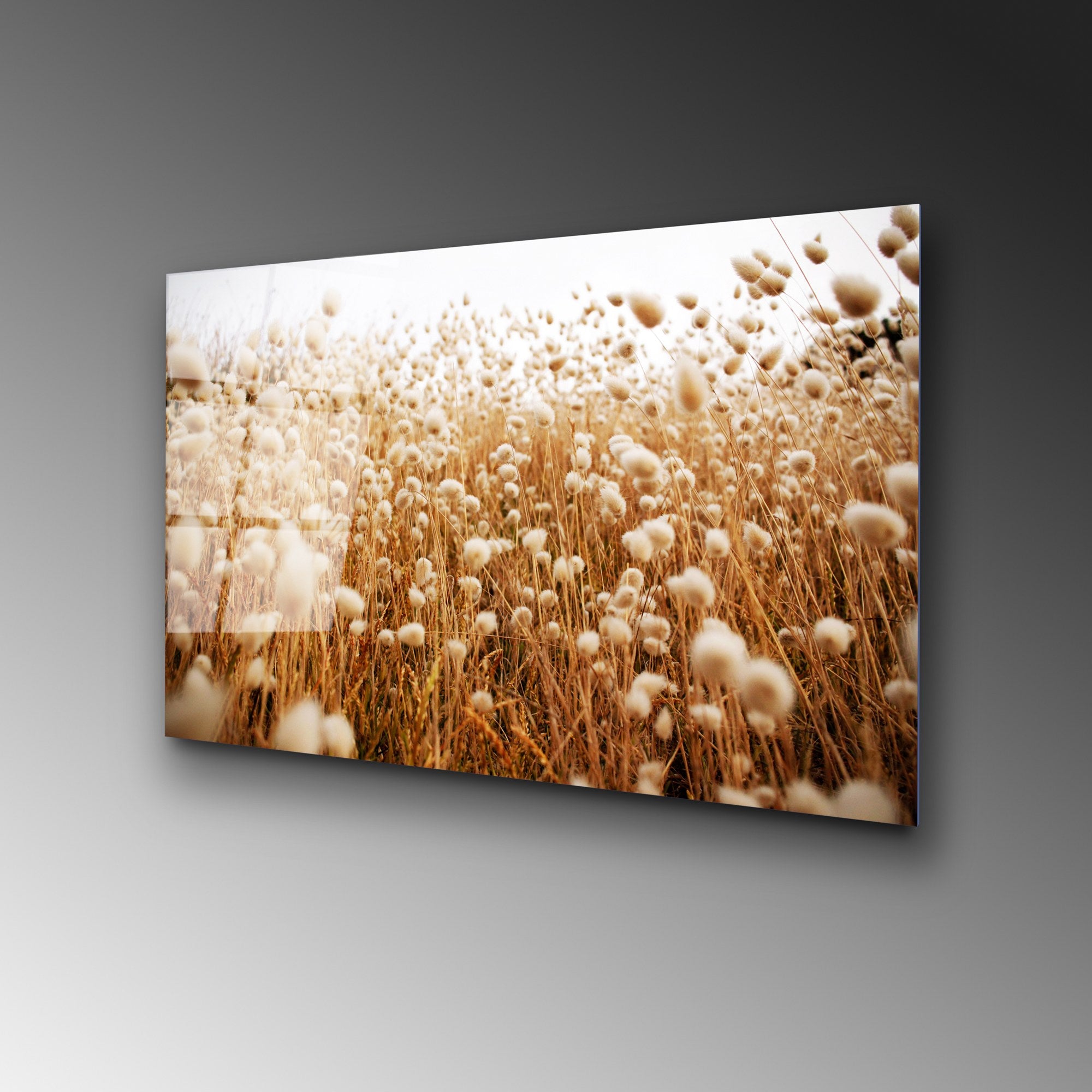 Quadro Decorativo 100% Vidro Temperado UV-405, 50 x 70 cm, Multicolor (4 mm)