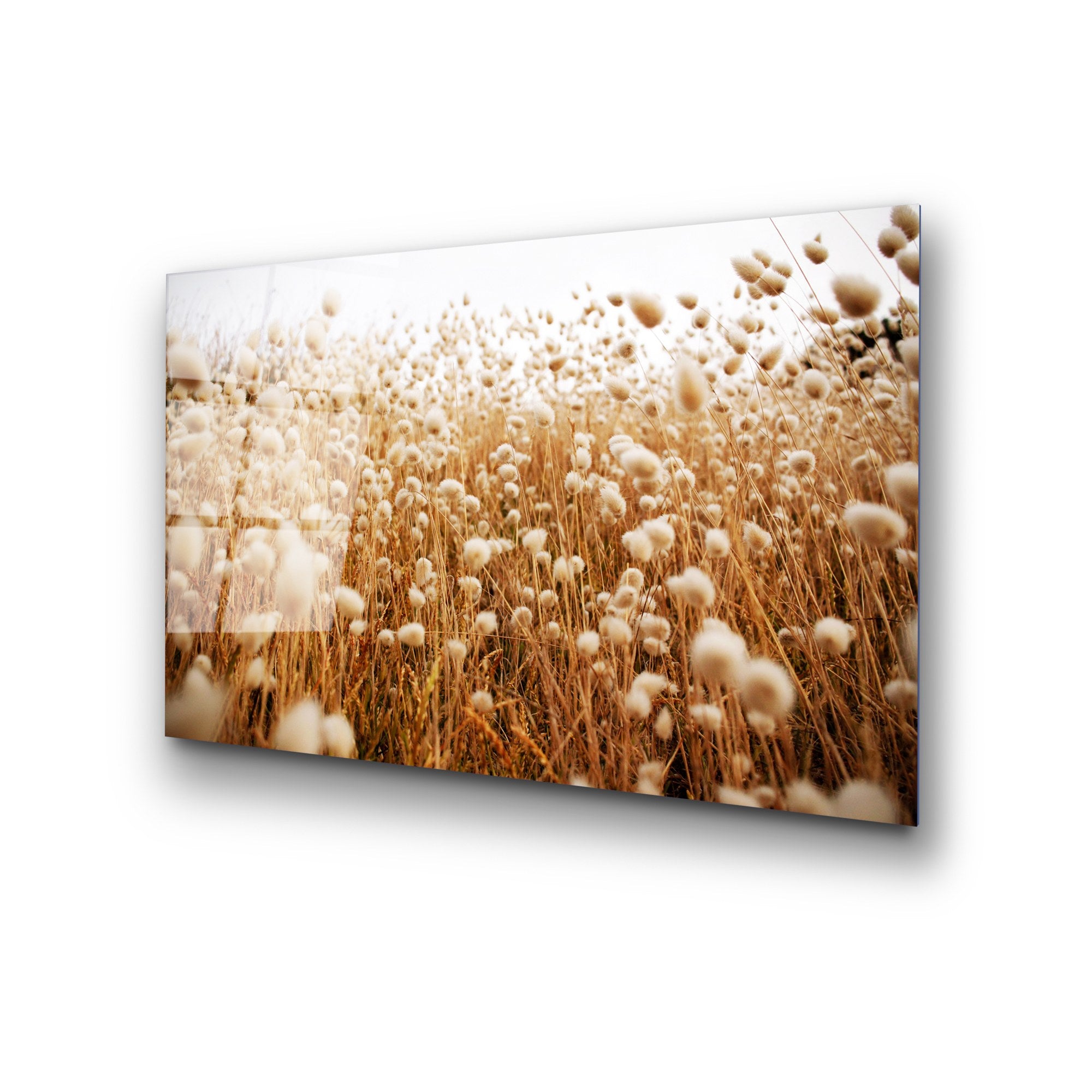 Quadro Decorativo 100% Vidro Temperado UV-405, 50 x 70 cm, Multicolor (4 mm)