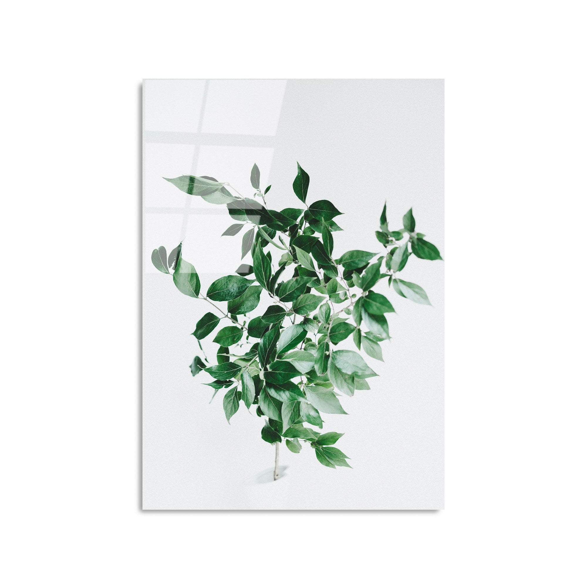 Quadro Decorativo em Vidro Temperado (4 mm) UV-414, Multicolorido, 50 x 70 cm