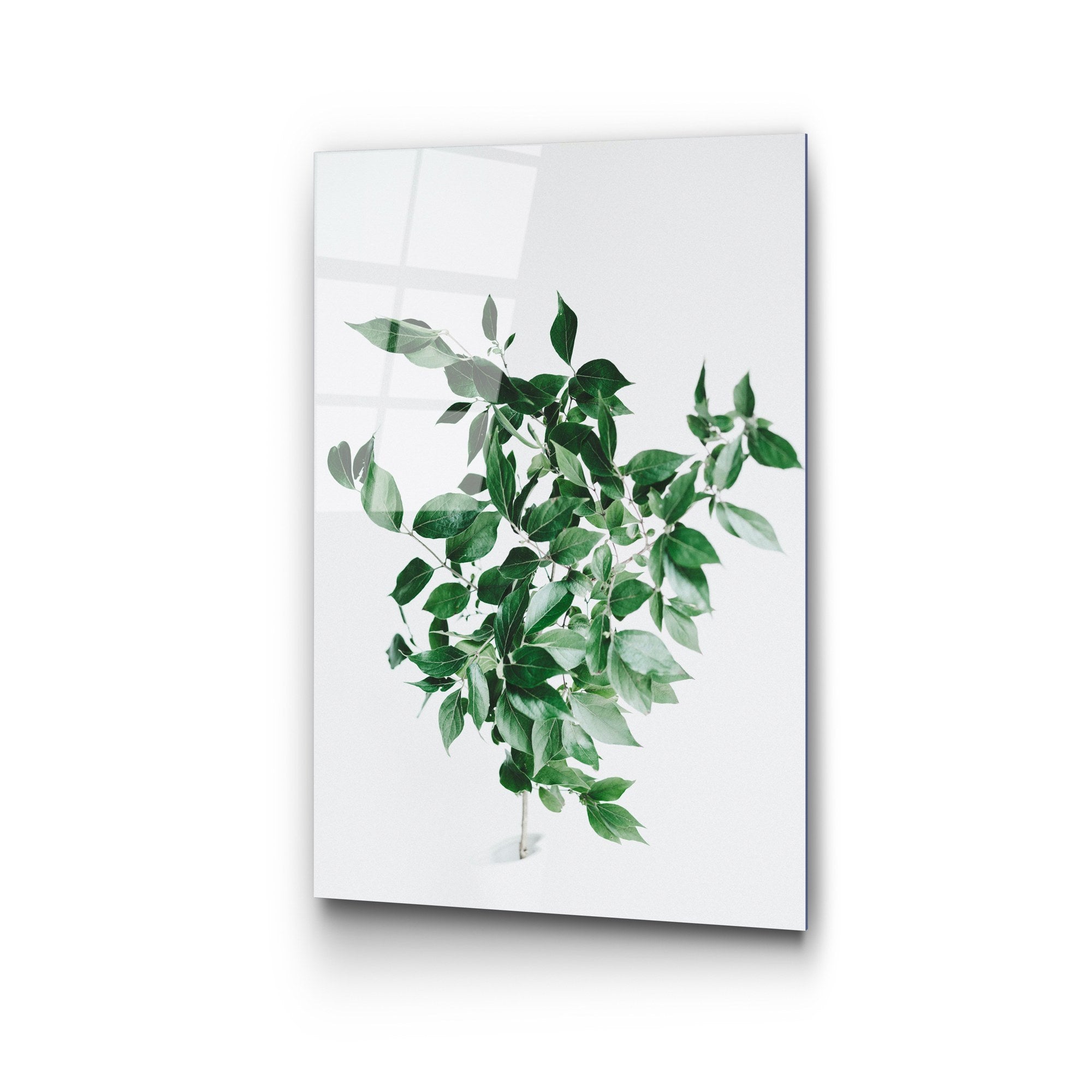 Quadro Decorativo em Vidro Temperado (4 mm) UV-414, Multicolorido, 50 x 70 cm