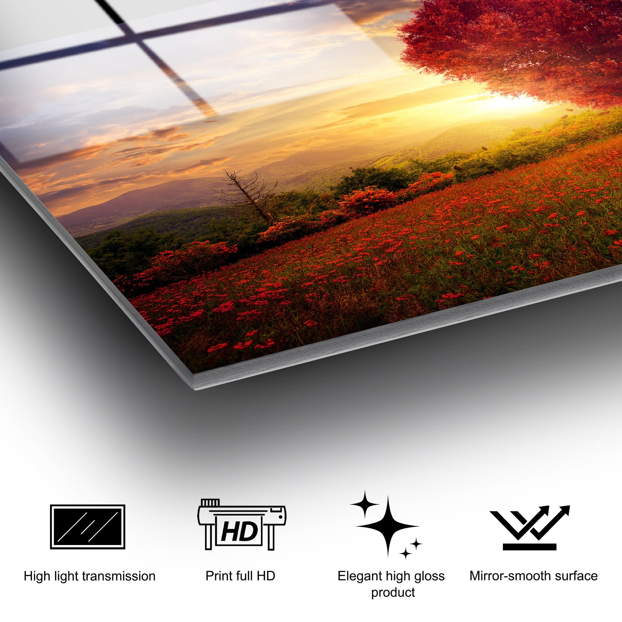 Quadro Decorativo em Vidro Temperado UV-424, 50 x 70 cm, Multicolor, 4 mm