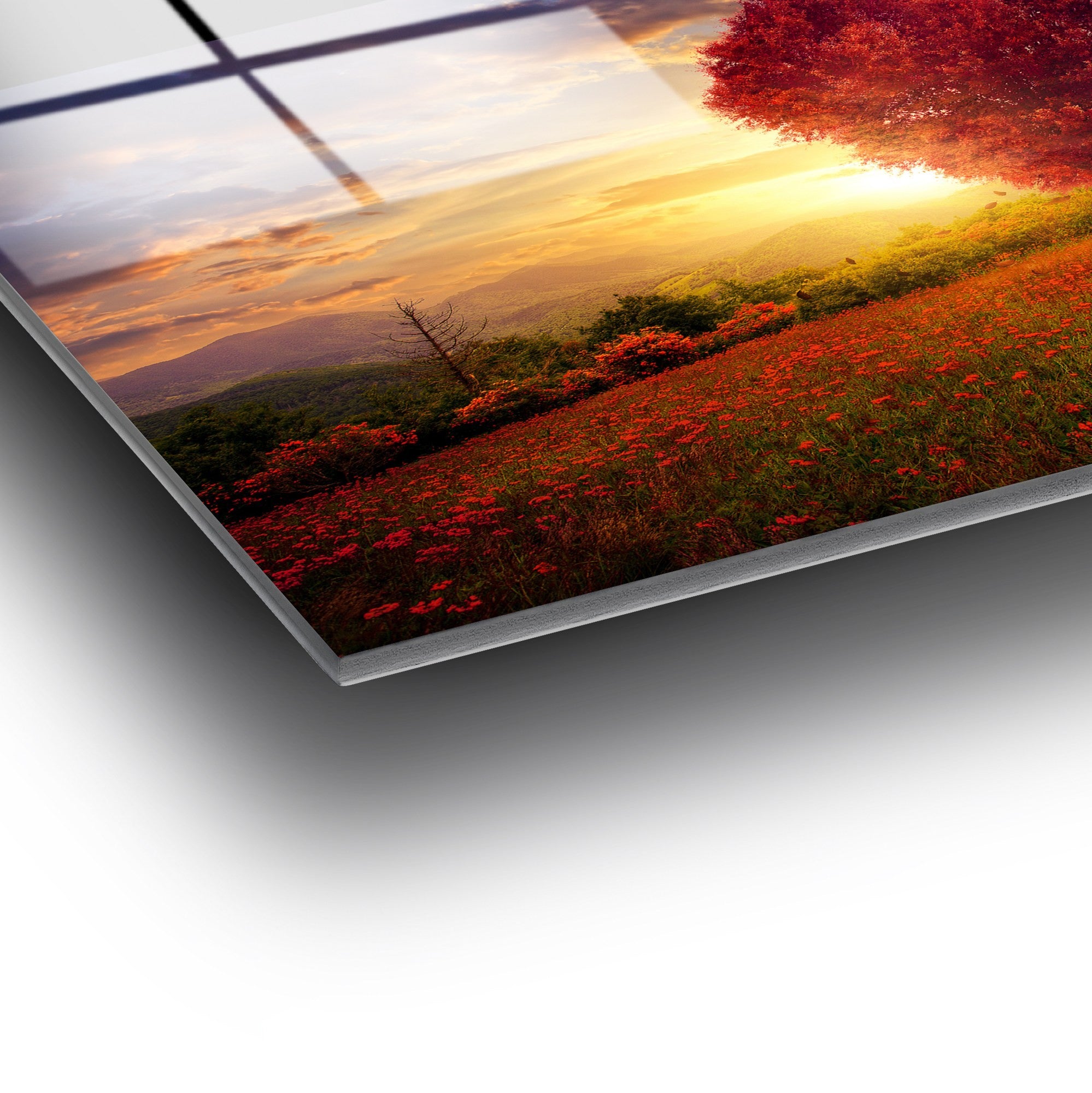 Quadro Decorativo em Vidro Temperado UV-424, 50 x 70 cm, Multicolor, 4 mm