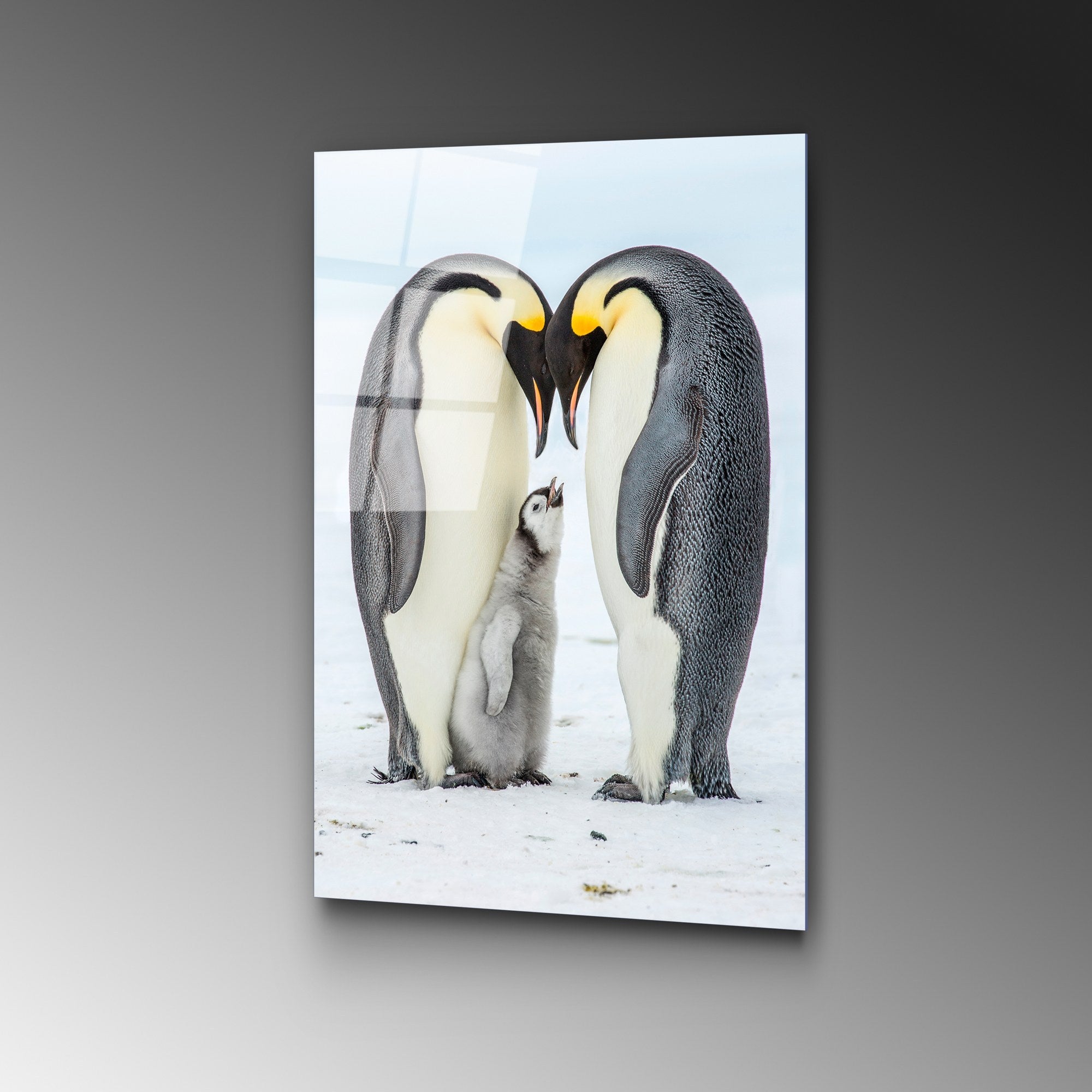 Quadro Decorativo em Vidro Temperado 50x70 cm (4 mm) Multicolor – UV-426 | 123BZM1520