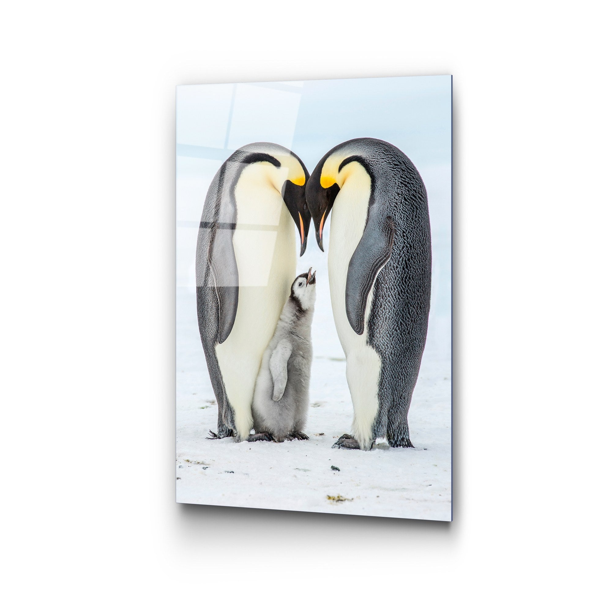 Quadro Decorativo em Vidro Temperado 50x70 cm (4 mm) Multicolor – UV-426 | 123BZM1520