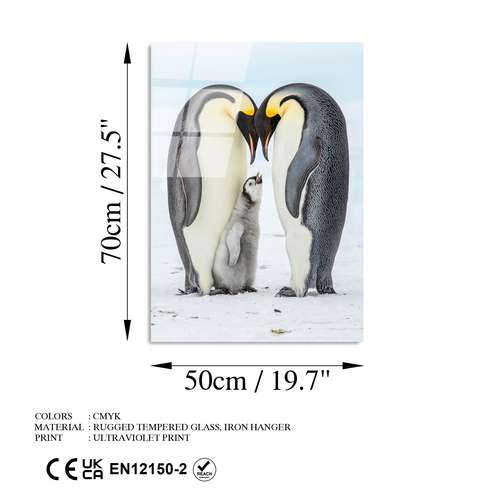 Quadro Decorativo em Vidro Temperado 50x70 cm (4 mm) Multicolor – UV-426 | 123BZM1520