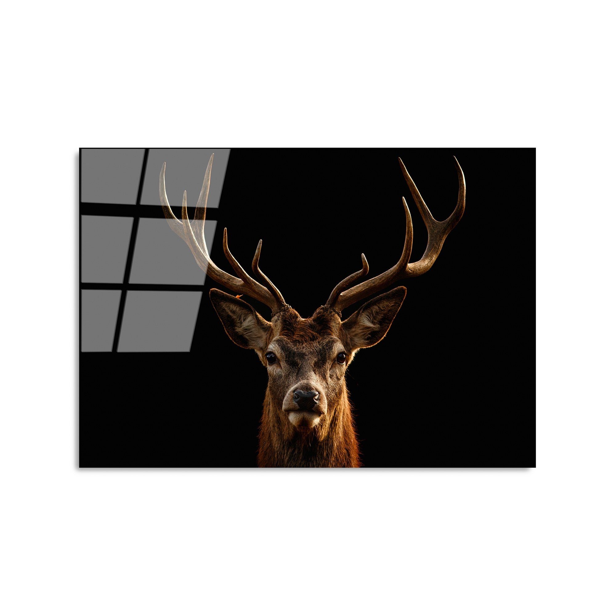 Quadro Decorativo em Vidro Temperado UV-438 50 x 70 cm Multicolor, 100% Vidro Temperado 4 mm