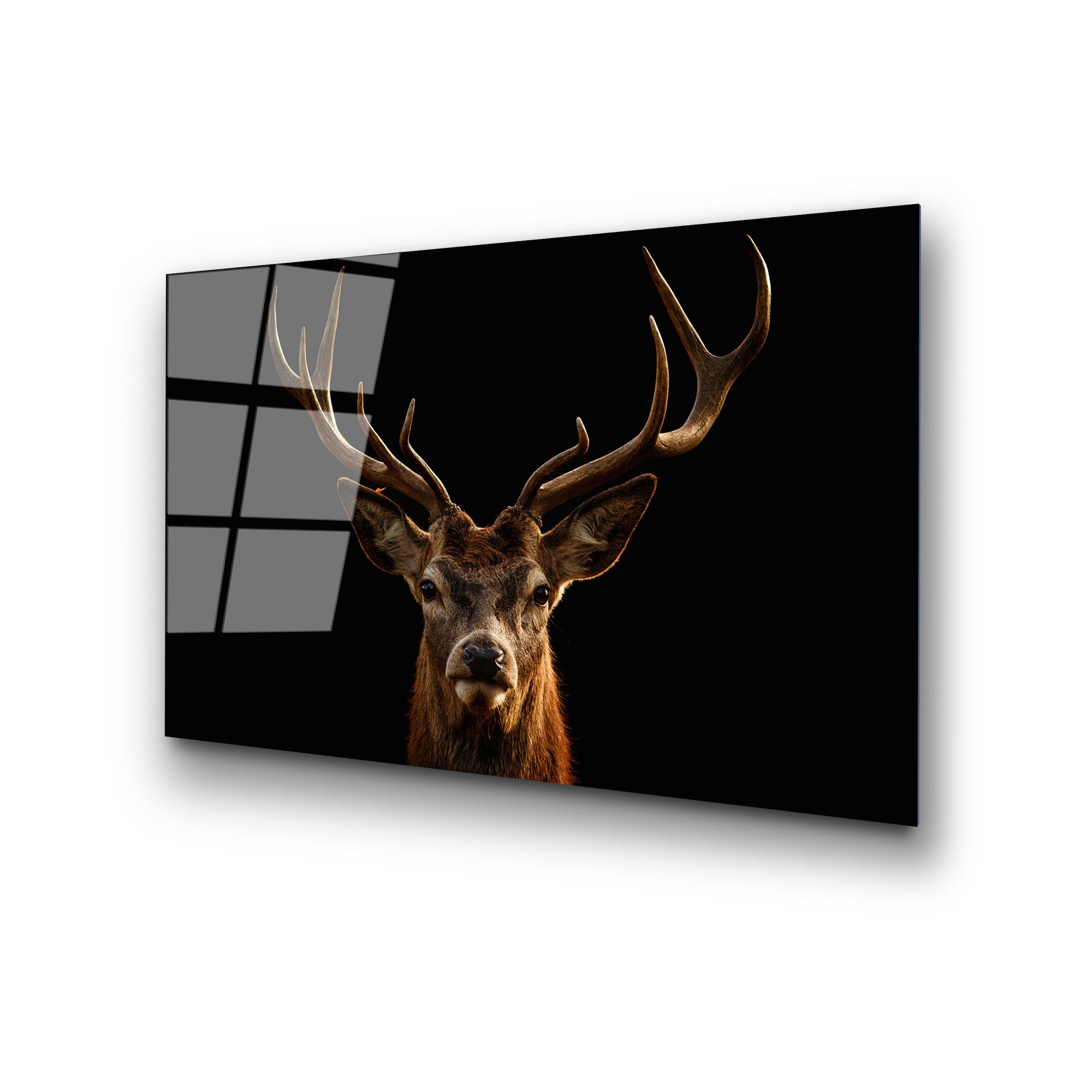 Quadro Decorativo em Vidro Temperado UV-438 50 x 70 cm Multicolor, 100% Vidro Temperado 4 mm