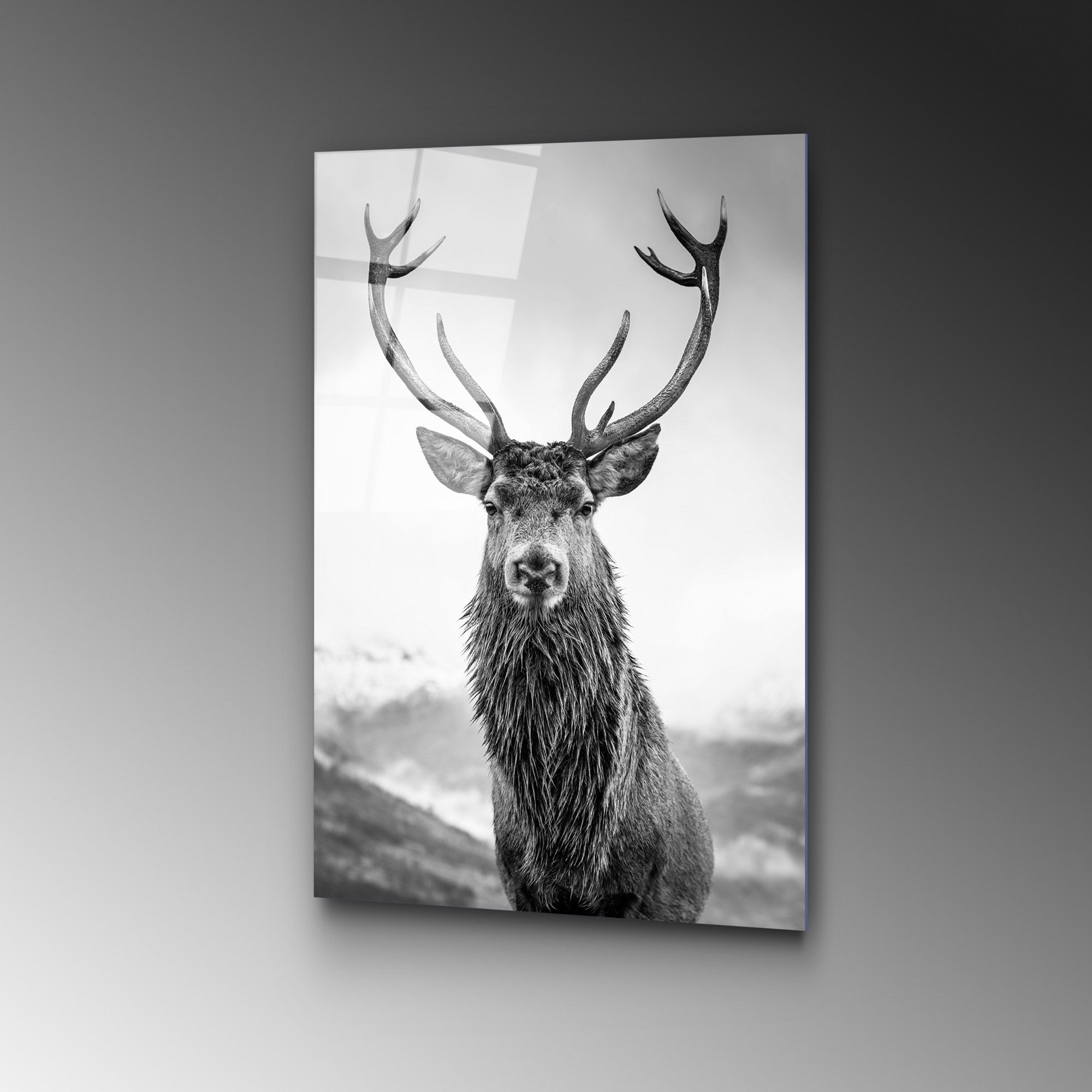 Quadro Decorativo em Vidro Temperado UV-455, Multicolor, 50 x 70 cm (4 mm)