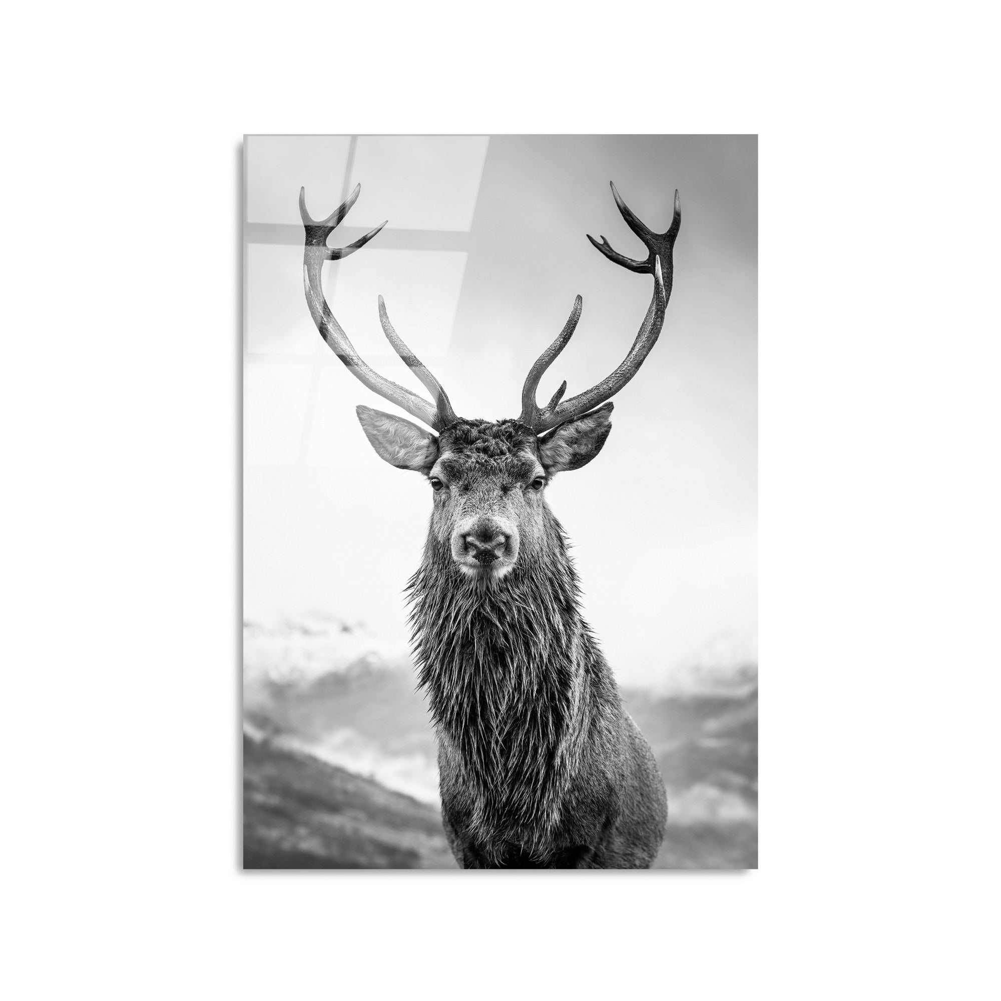 Quadro Decorativo em Vidro Temperado UV-455, Multicolor, 50 x 70 cm (4 mm)