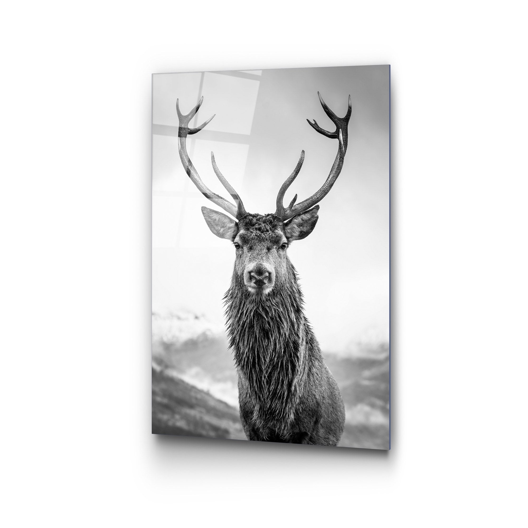 Quadro Decorativo em Vidro Temperado UV-455, Multicolor, 50 x 70 cm (4 mm)