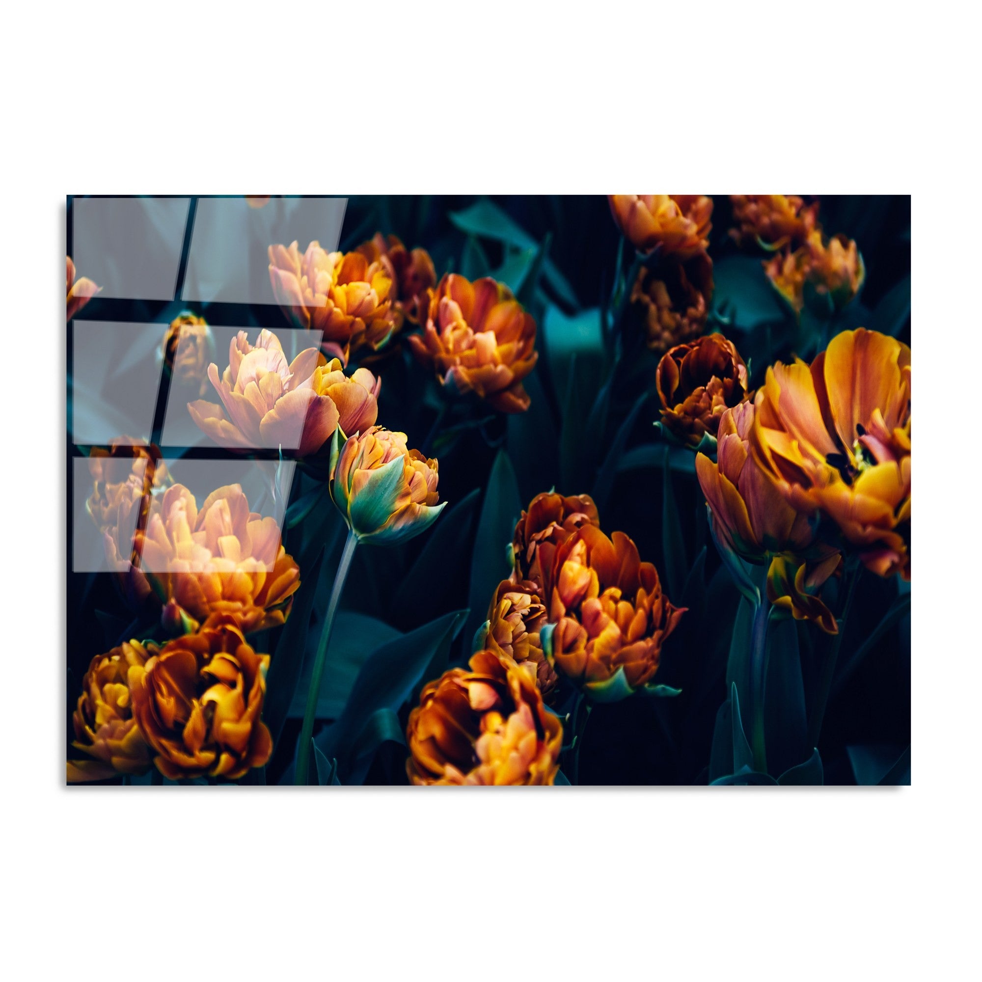 Quadro Decorativo em Vidro Temperado UV-760, Multicolor, 70 x 100 cm, 4 mm