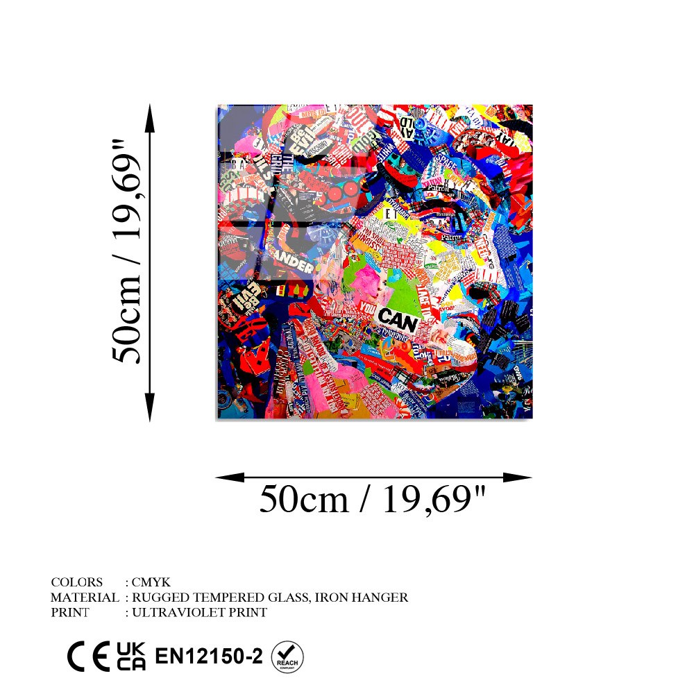 Quadro Decorativo em Vidro Temperado Multicolor 50x50 cm (4 mm) UV-813 – 123BZM2306