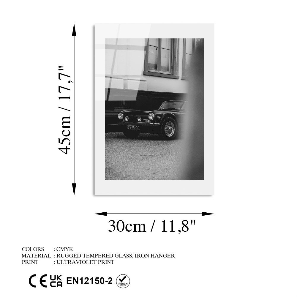 Quadro Decorativo em Vidro Temperado UV-985 — 30 x 45 cm, Multicolor, 4 mm