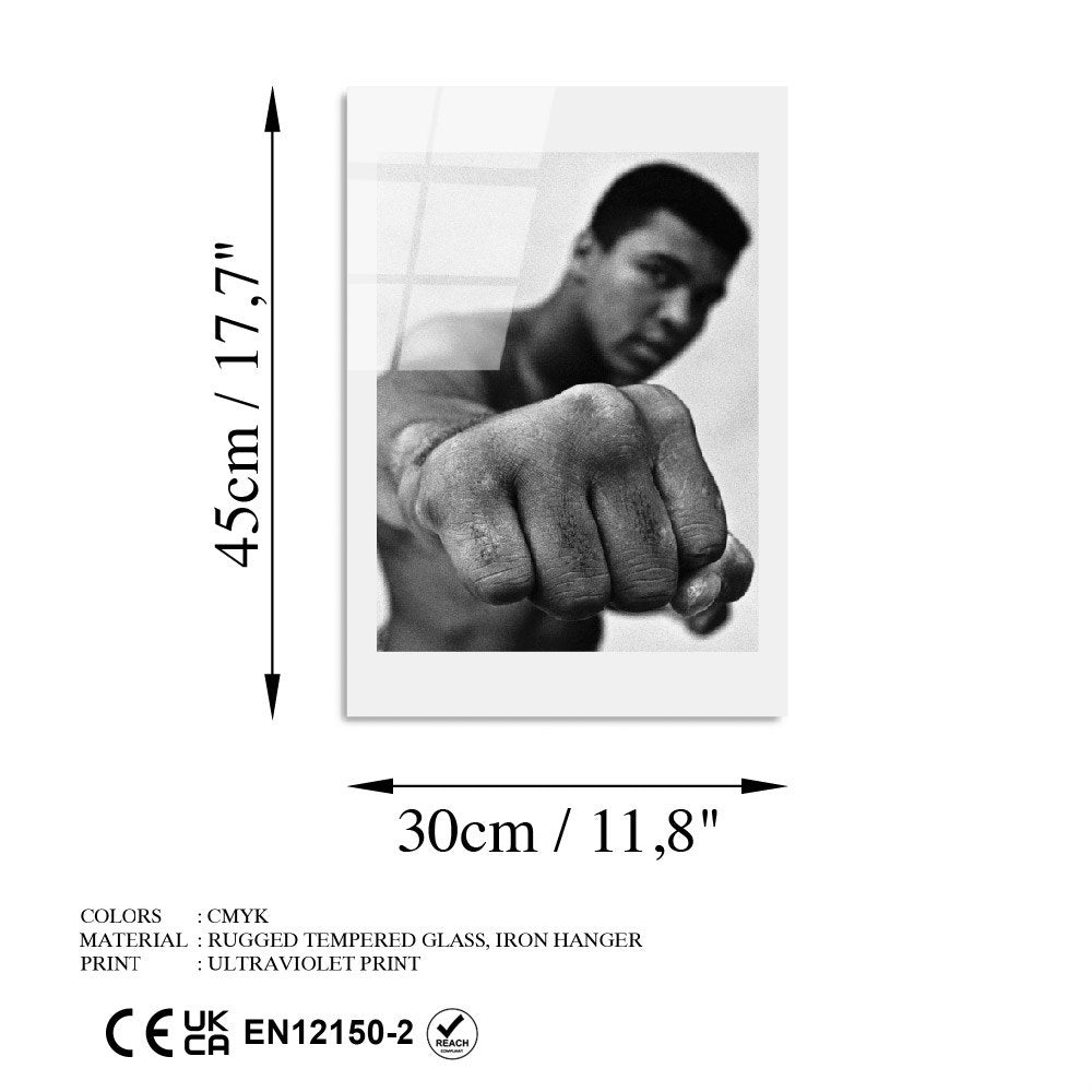 Quadro Decorativo em Vidro Temperado UV-991, 30 x 45 cm, Multicolor, 4 mm