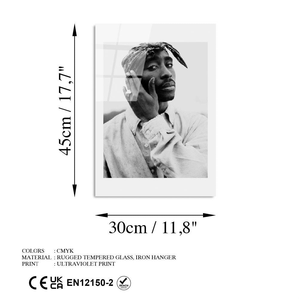 Quadro Decorativo em Vidro Temperado UV-994 (30 x 45 cm) Multicolor, 4 mm