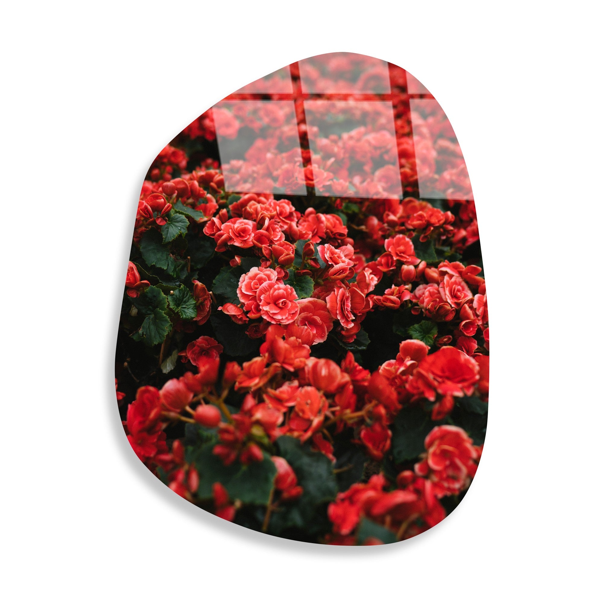 Quadro Decorativo em Vidro Temperado UV-1093, 50x70 cm, Multicolor, 4 mm