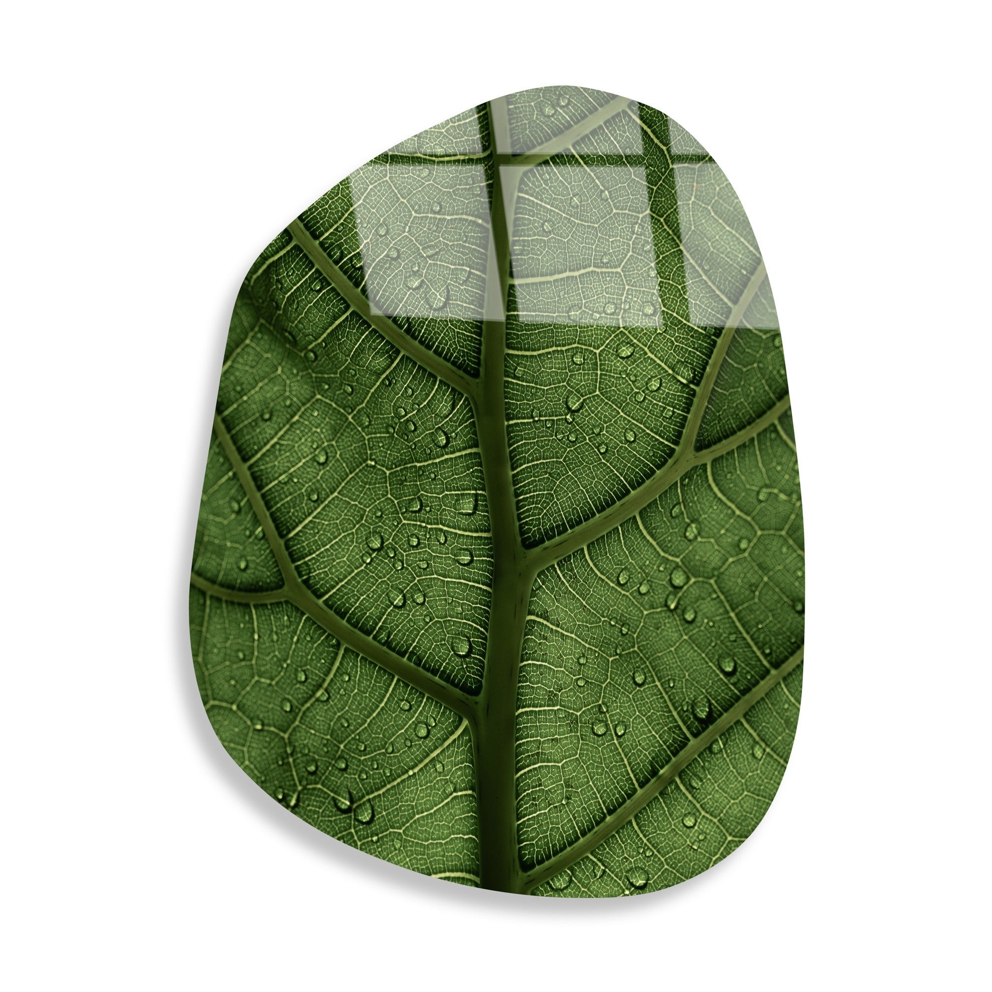 Quadro Decorativo em Vidro Temperado 100% UV-1099, Multicolor — 50 x 70 cm, 4 mm de espessura, elegância e durabilidade