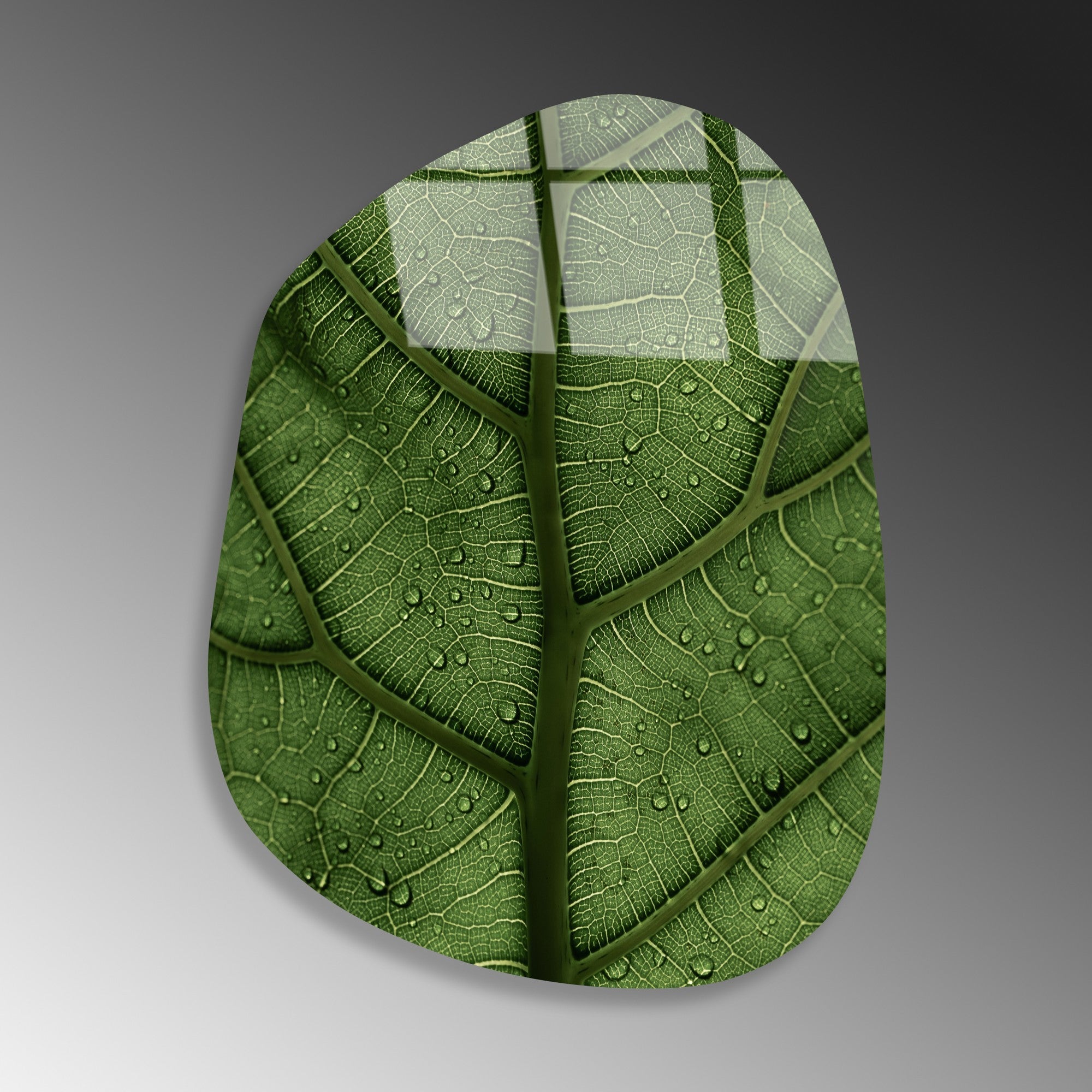 Quadro Decorativo em Vidro Temperado 100% UV-1099, Multicolor — 50 x 70 cm, 4 mm de espessura, elegância e durabilidade