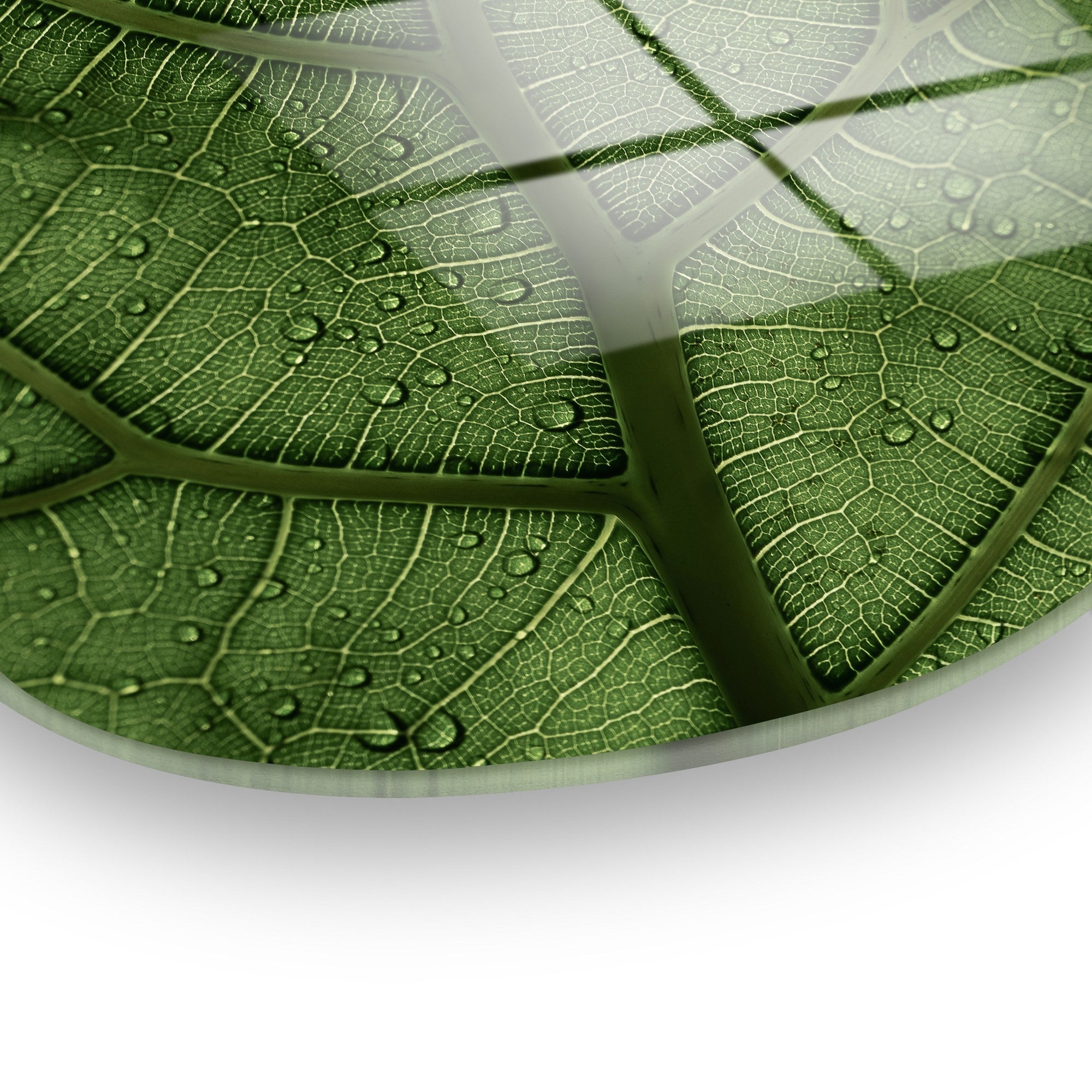 Quadro Decorativo em Vidro Temperado 100% UV-1099, Multicolor — 50 x 70 cm, 4 mm de espessura, elegância e durabilidade