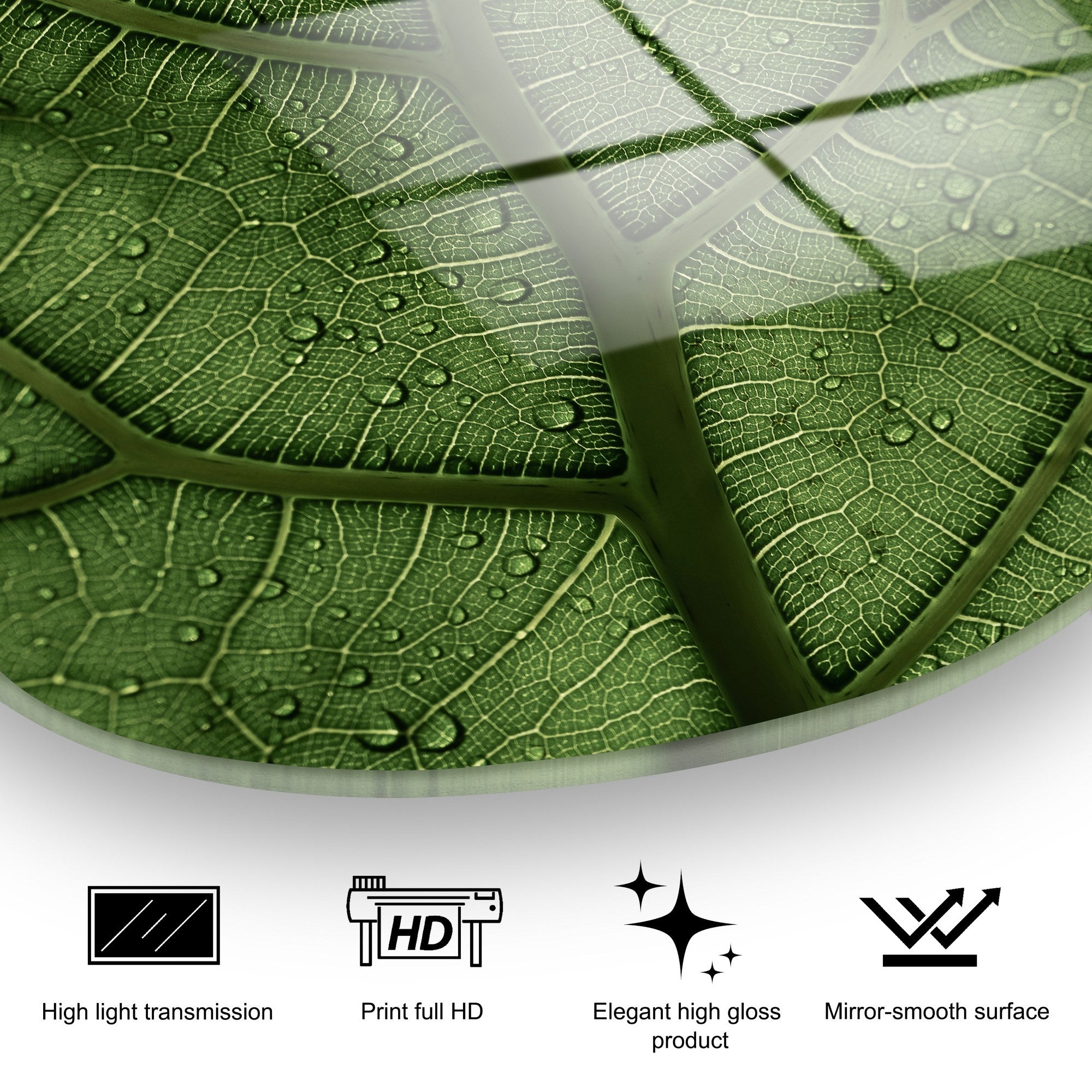 Quadro Decorativo em Vidro Temperado 100% UV-1099, Multicolor — 50 x 70 cm, 4 mm de espessura, elegância e durabilidade