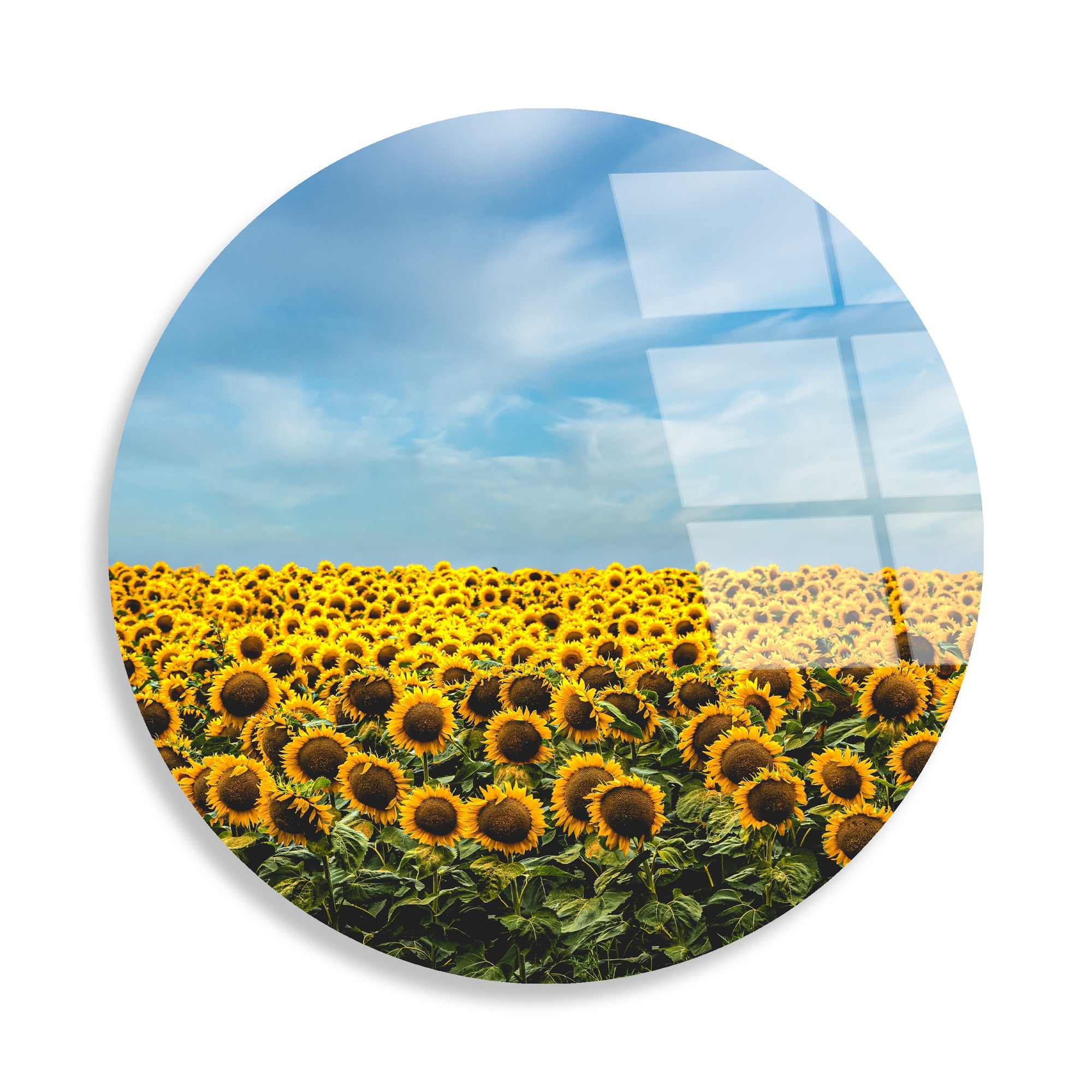 Quadro Decorativo em Vidro Temperado Multicolor Ø60 cm, 4 mm – UV-1135 (123BZM2631)