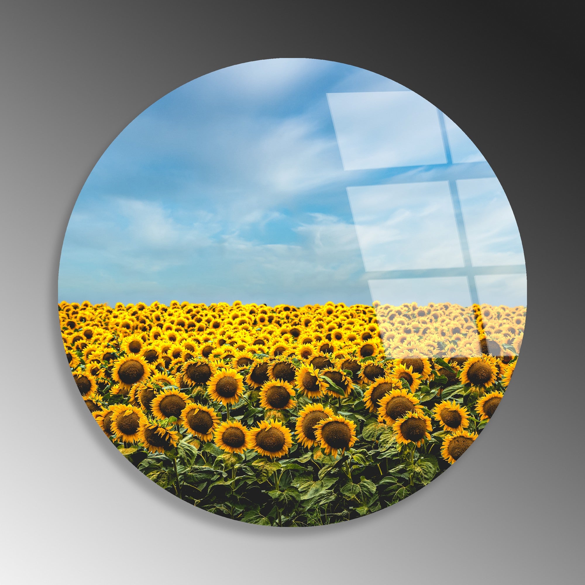 Quadro Decorativo em Vidro Temperado Multicolor Ø60 cm, 4 mm – UV-1135 (123BZM2631)