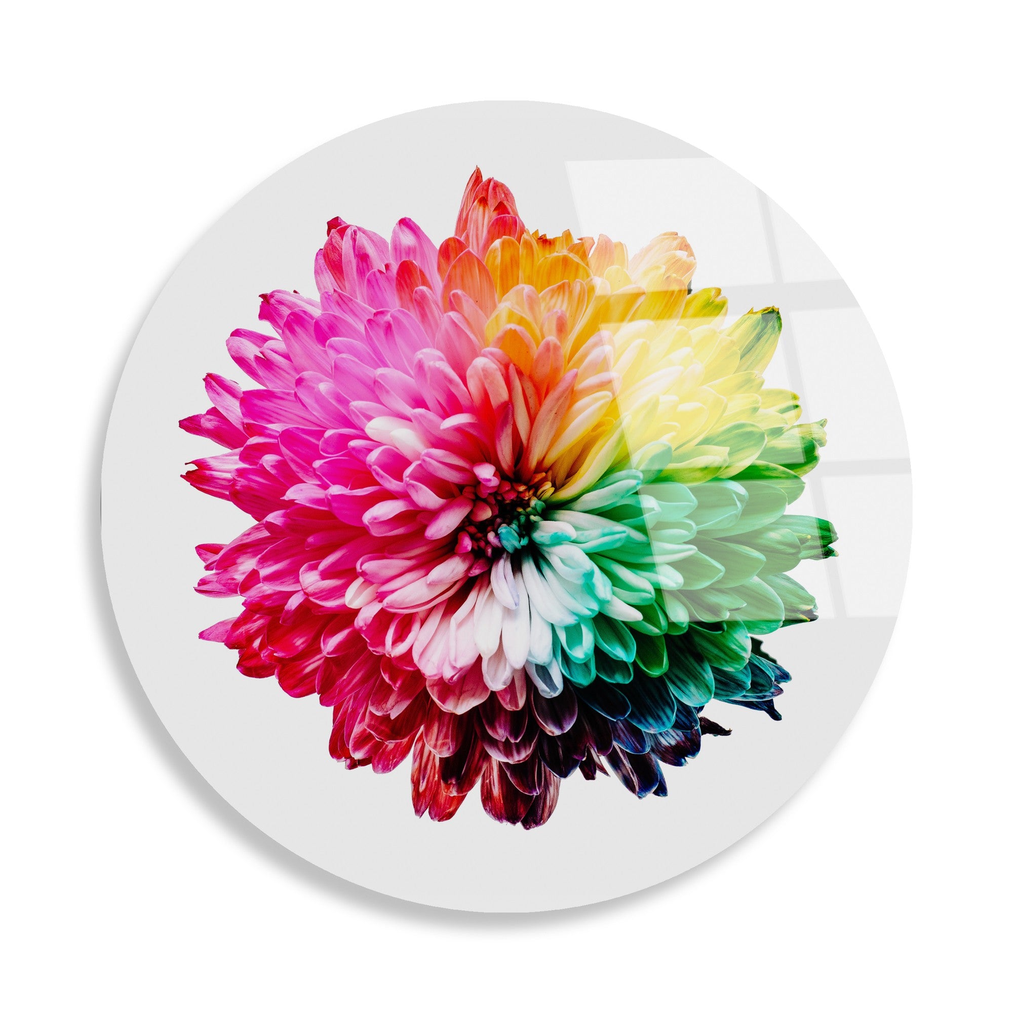 Quadro Decorativo em Vidro Temperado UV-1137, Multicolor, Ø60 cm, 4 mm