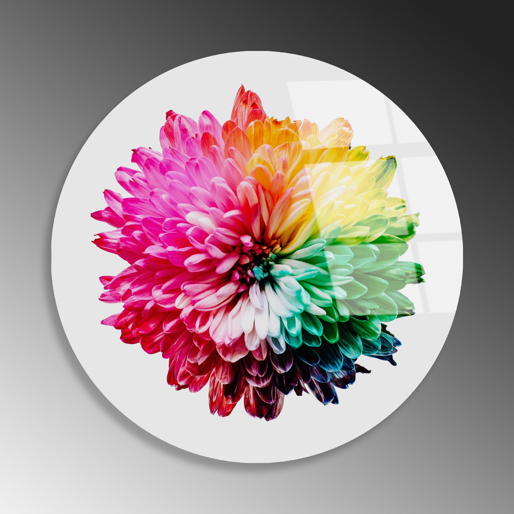 Quadro Decorativo em Vidro Temperado UV-1137, Multicolor, Ø60 cm, 4 mm