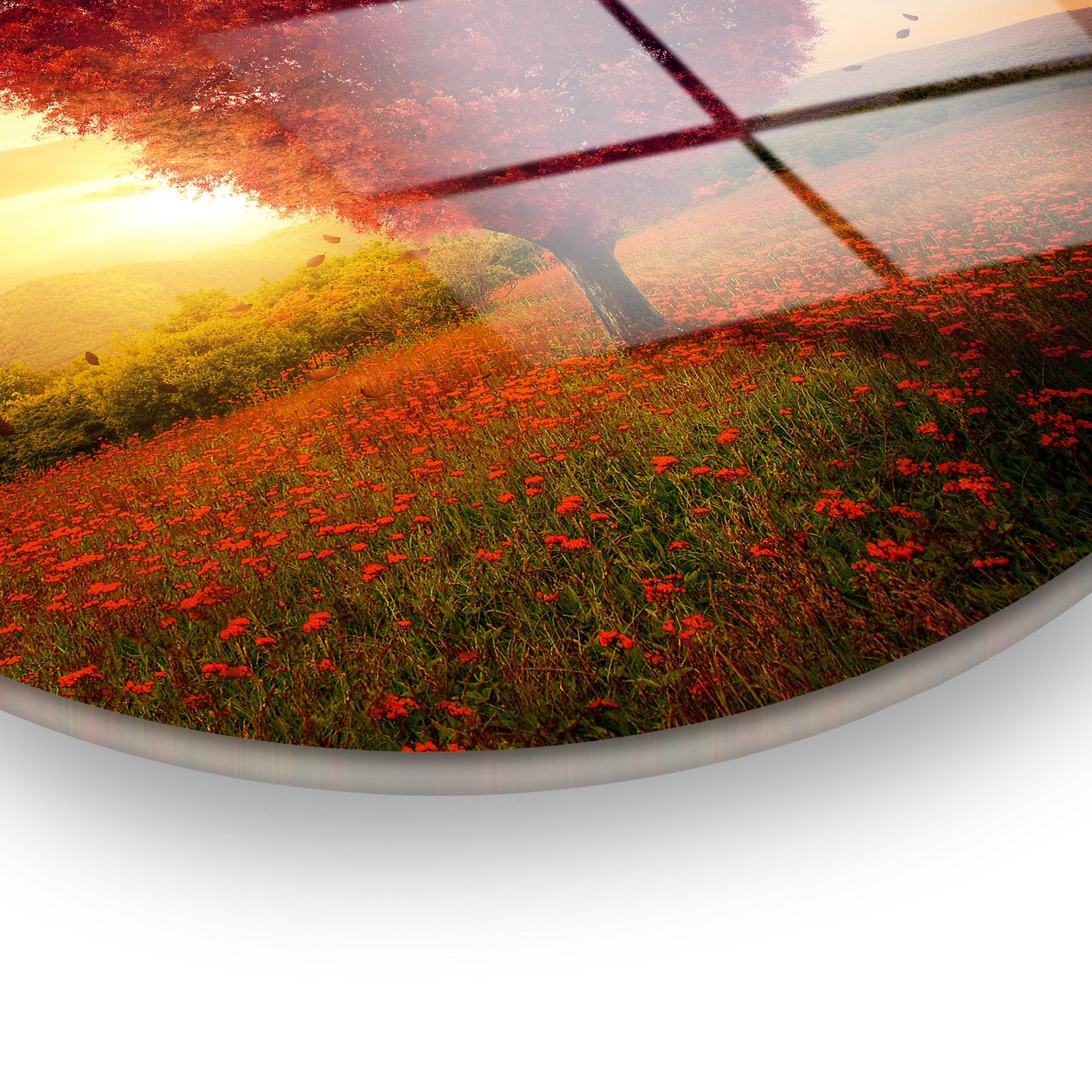 Quadro Decorativo em Vidro Temperado Multicolor Ø30 cm (4 mm) – UV-1147