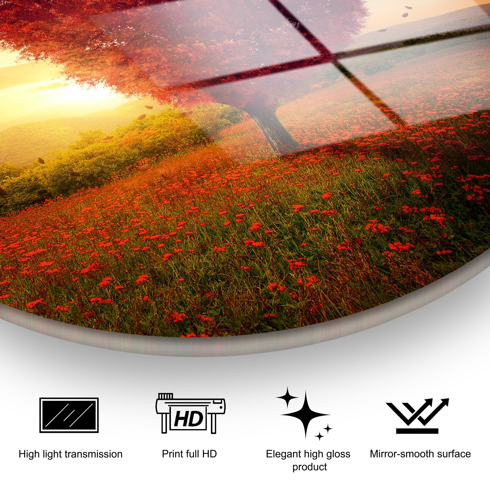 Quadro Decorativo em Vidro Temperado Multicolor Ø30 cm (4 mm) – UV-1147