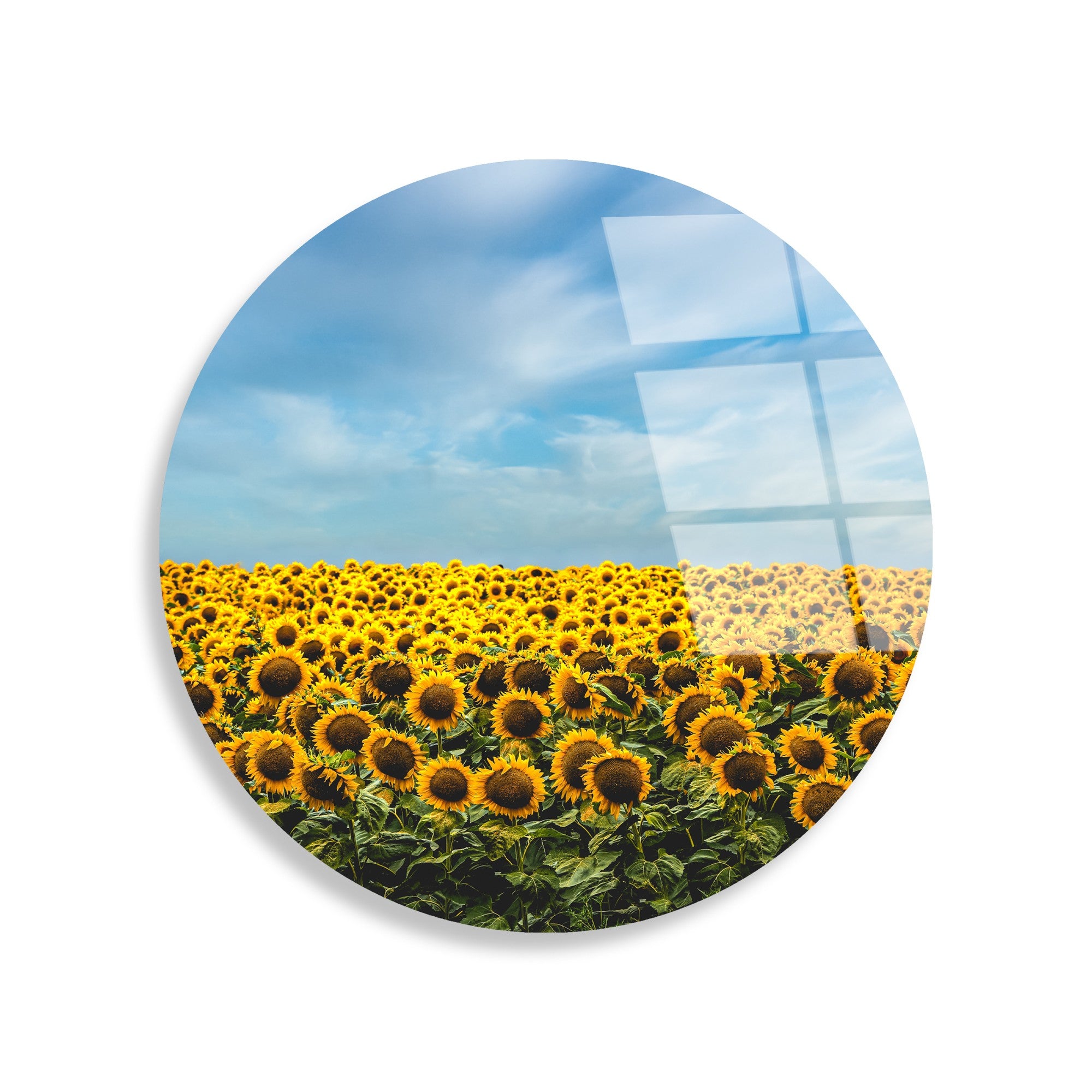 Quadro Decorativo em Vidro Temperado 4 mm Multicolor 30 cm – UV-1155