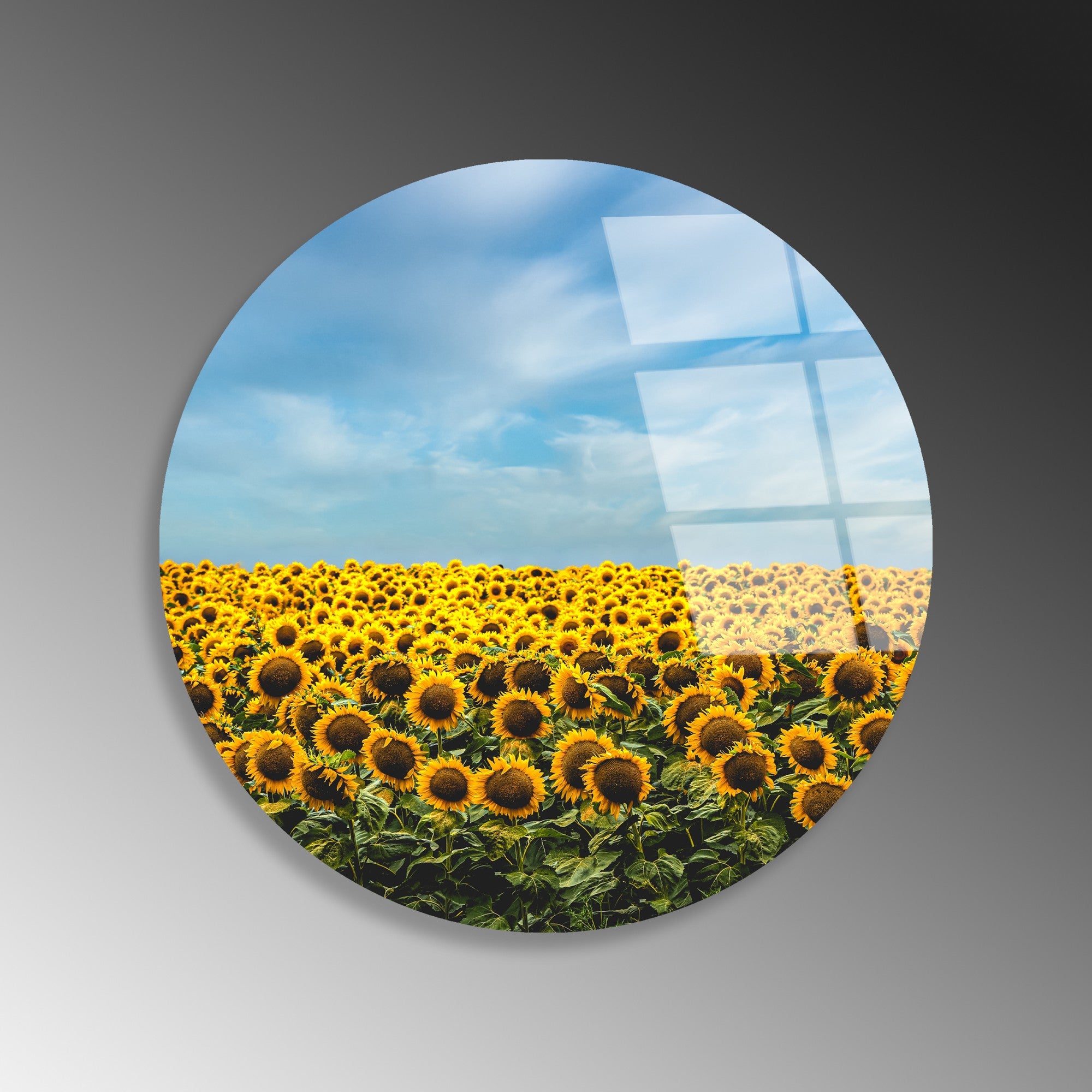 Quadro Decorativo em Vidro Temperado 4 mm Multicolor 30 cm – UV-1155