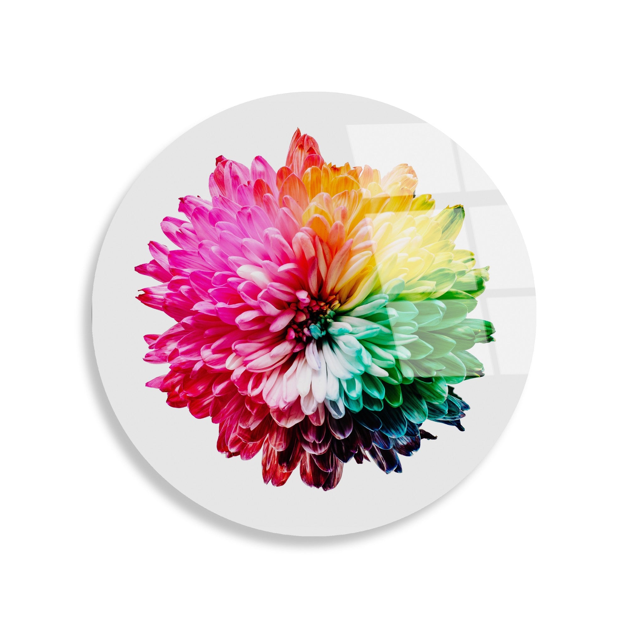 Quadro Decorativo em Vidro Temperado Multicolor Ø30 cm (4 mm) – UV-1157