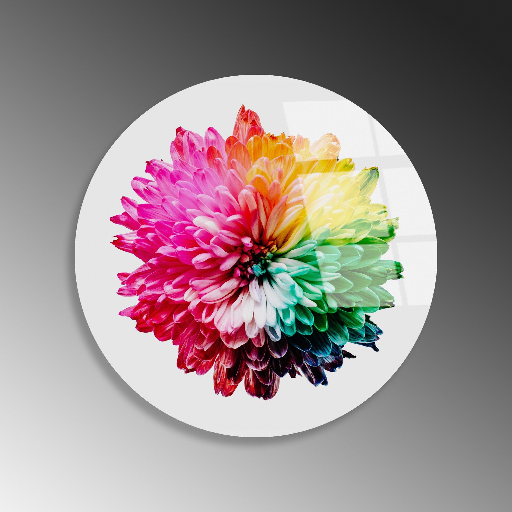 Quadro Decorativo em Vidro Temperado Multicolor Ø30 cm (4 mm) – UV-1157