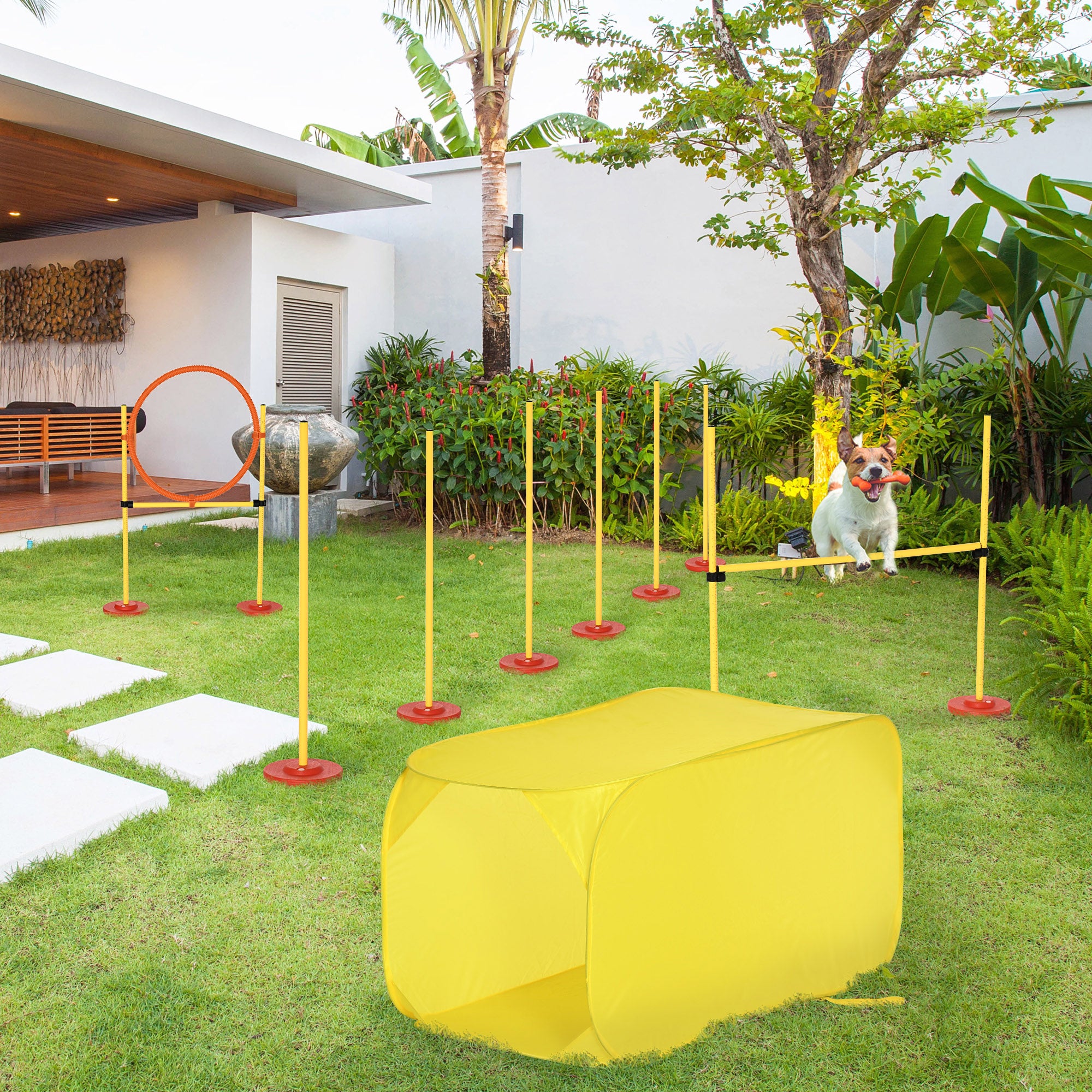 Conjunto de Obstáculos de Treinamento para Cães – 128x23x9-100 cm – Amarelo – ABS, PE, poliéster