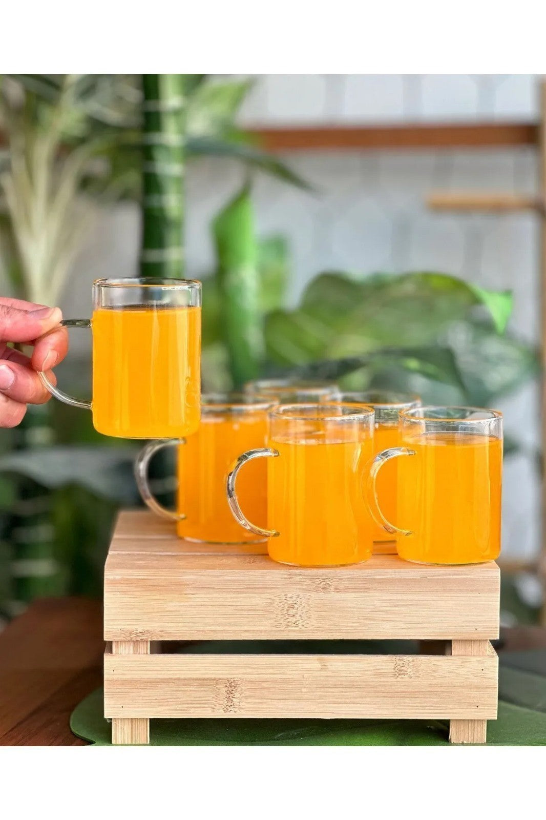 Conjunto de Copos – 6 Peças – Transparente – Vidro Borosilicato