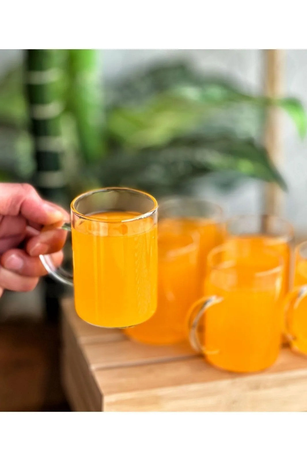 Conjunto de Copos – 6 Peças – Transparente – Vidro Borosilicato