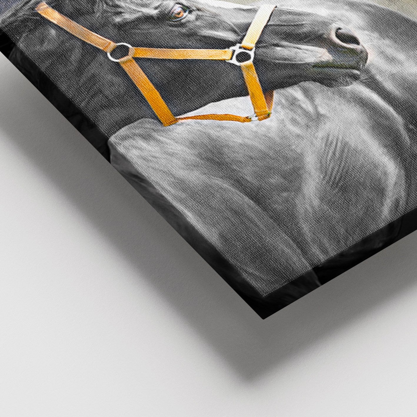 Tela Decorativa em Canvas Multicolor com Moldura em Madeira (3–4 cm) 100x140 cm