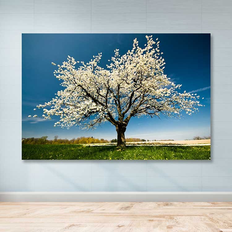 Quadro em Tela Decorativa Multicolor 100x140 cm – 100% Canvas com Moldura 100% Madeira (3–4 cm) DEV02298100140