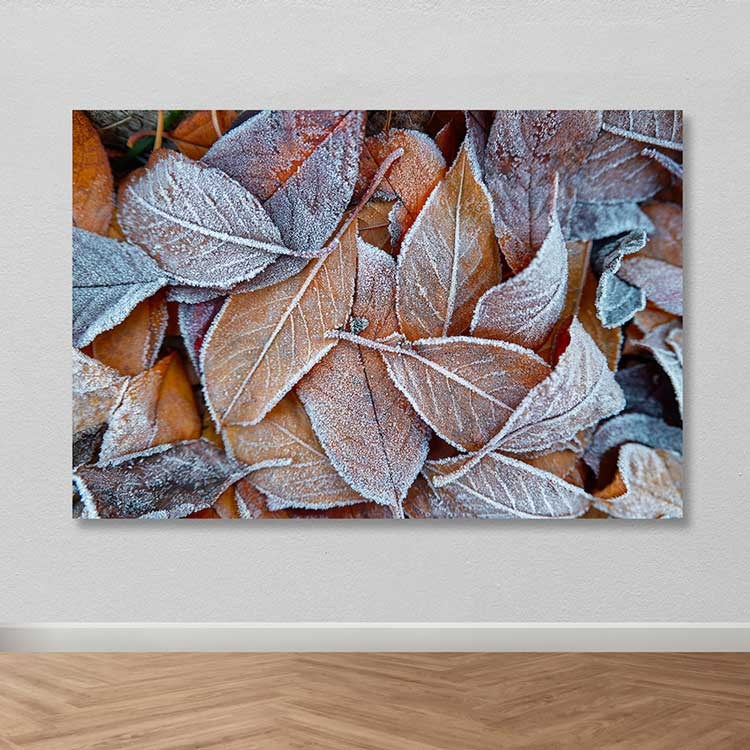 Quadro em Tela (Canvas) Multicolor com Moldura de Madeira 100x140 cm | Espessura 3–4 cm