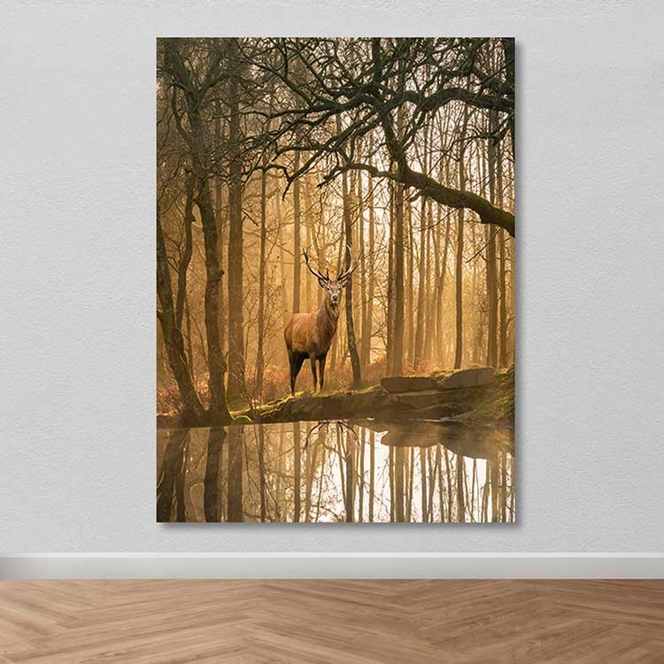 Tela Decorativa Multicolor 100x140 cm com Moldura de Madeira (3–4 cm), 100% Canvas