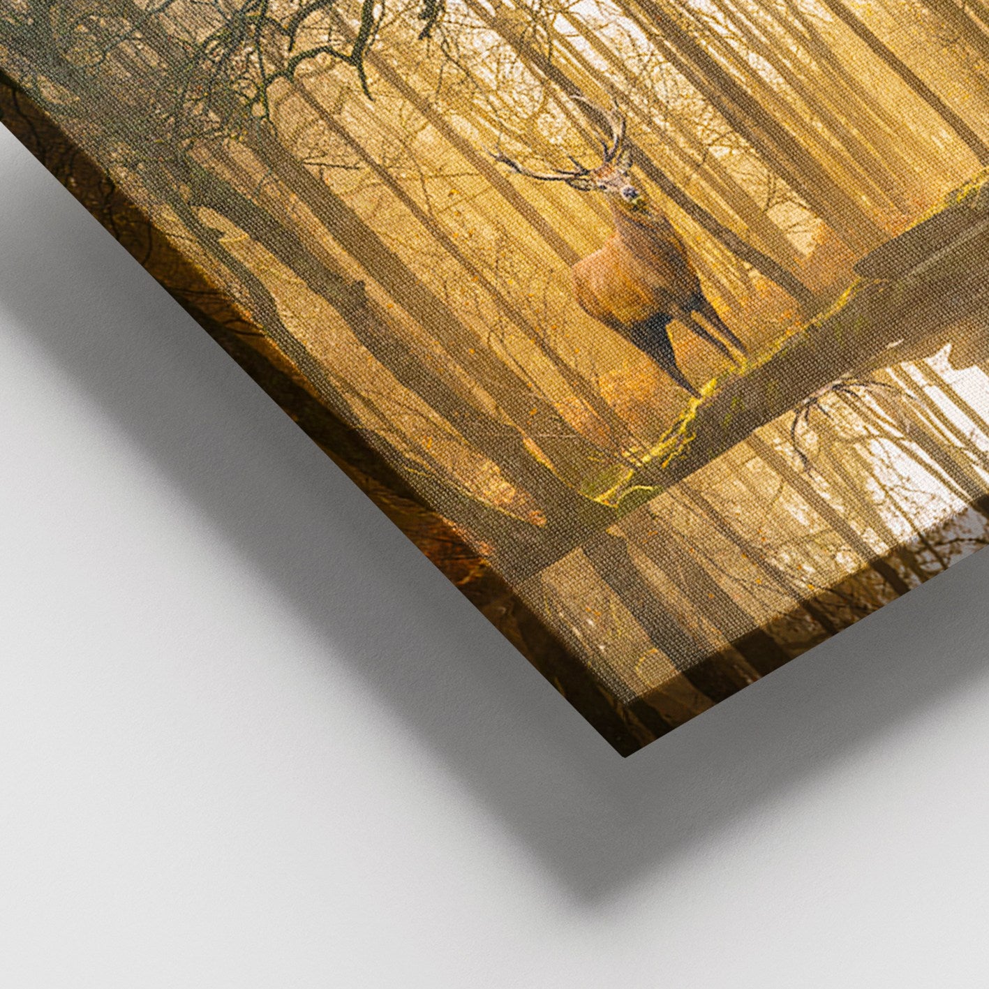 Tela Decorativa Multicolor 100x140 cm com Moldura de Madeira (3–4 cm), 100% Canvas