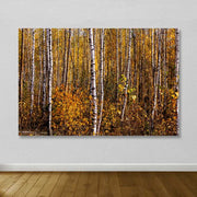 Quadro em Tela Canvas 100% com Moldura de Madeira (3–4 cm) 100x140 cm – Multicolor