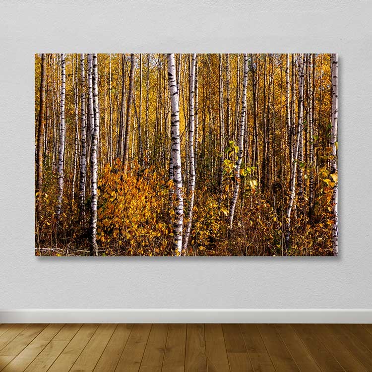 Quadro em Tela Canvas 100% com Moldura de Madeira (3–4 cm) 100x140 cm – Multicolor