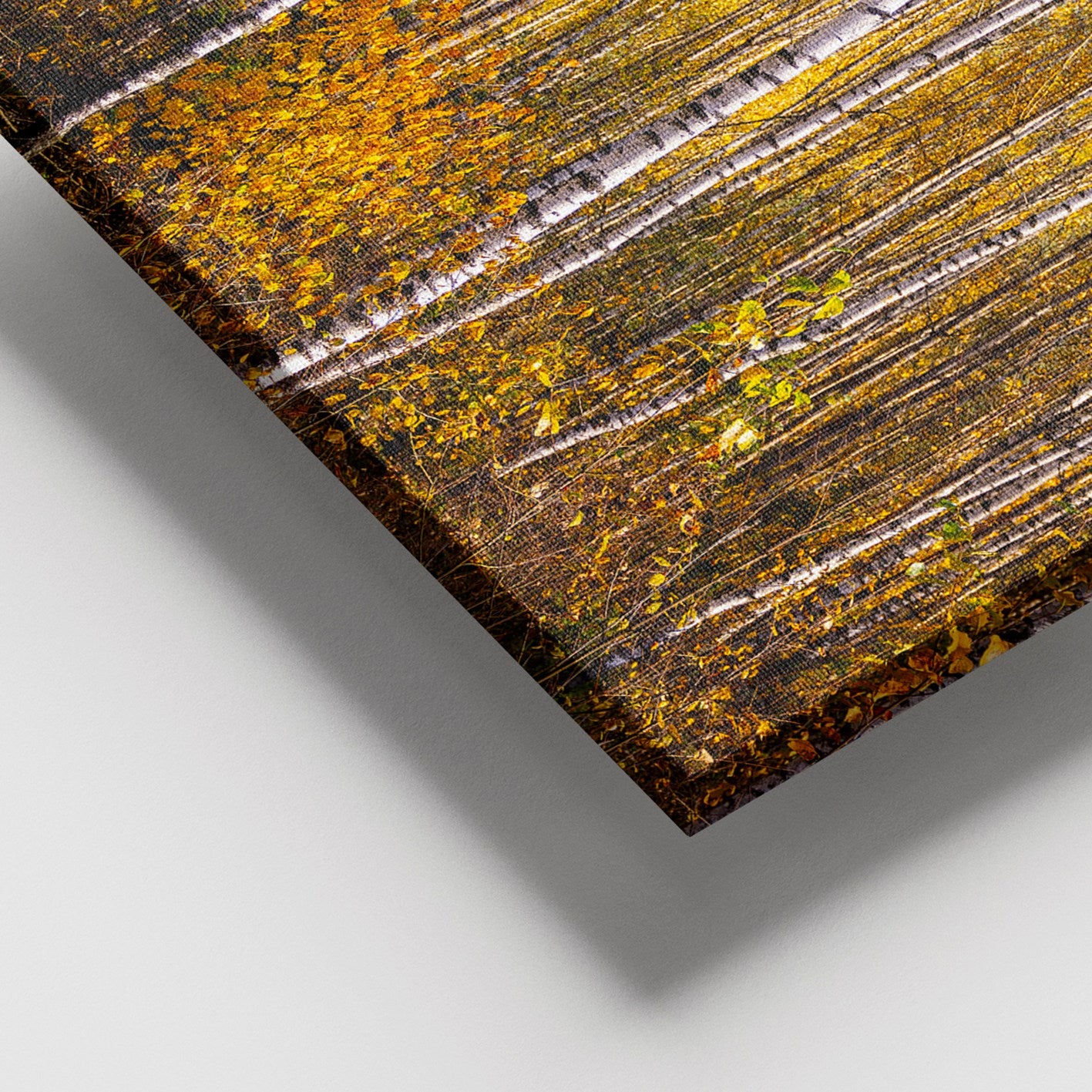 Quadro em Tela Canvas 100% com Moldura de Madeira (3–4 cm) 100x140 cm – Multicolor