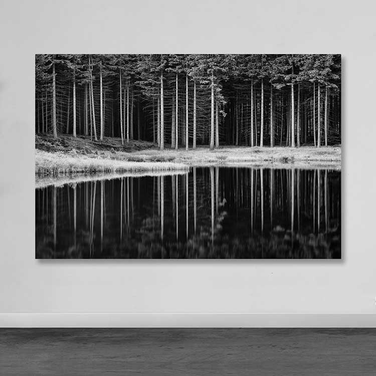 Tela Decorativa em Canvas Multicolor 100x140 cm com Moldura de Madeira (3–4 cm)