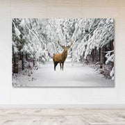 Quadro em Tela 100% Canvas Multicor com Moldura de Madeira (3–4 cm), 100x140 cm