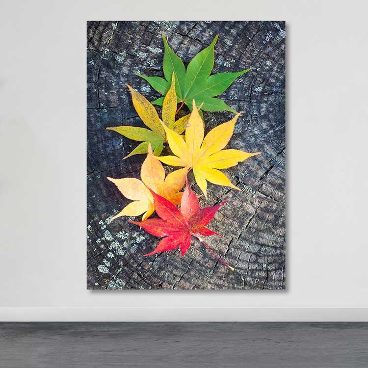 Quadro em Tela 100% Canvas Multicolor com Moldura de Madeira (3–4 cm), 100 x 140 cm