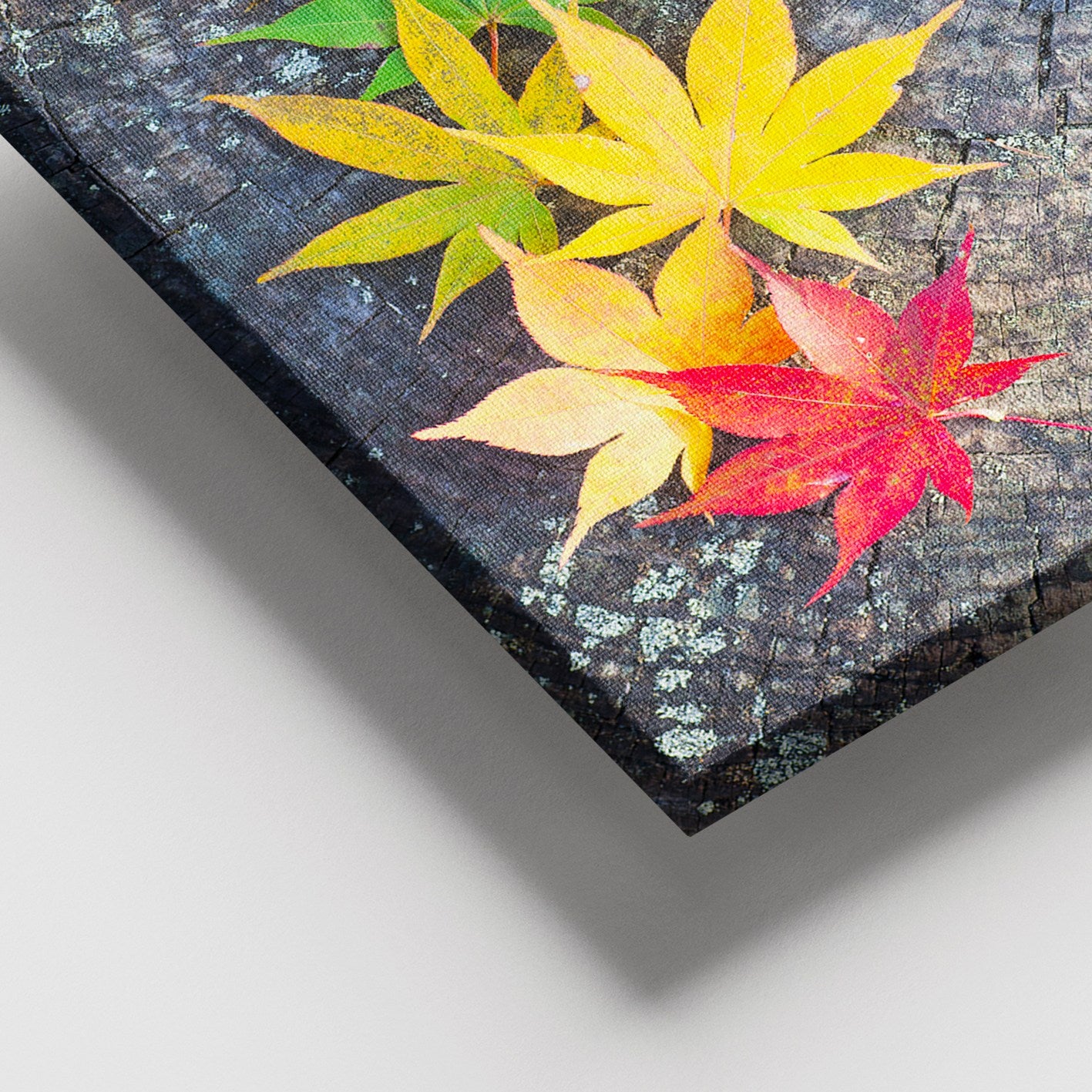 Quadro em Tela 100% Canvas Multicolor com Moldura de Madeira (3–4 cm), 100 x 140 cm